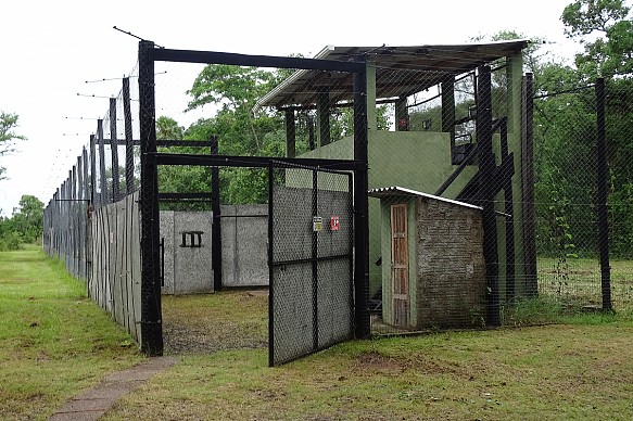 Mario Haberfeld jaguar lodge Mario Haberfeld jaguar lodge