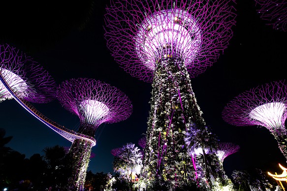 Singapore gardens Singapore gardens